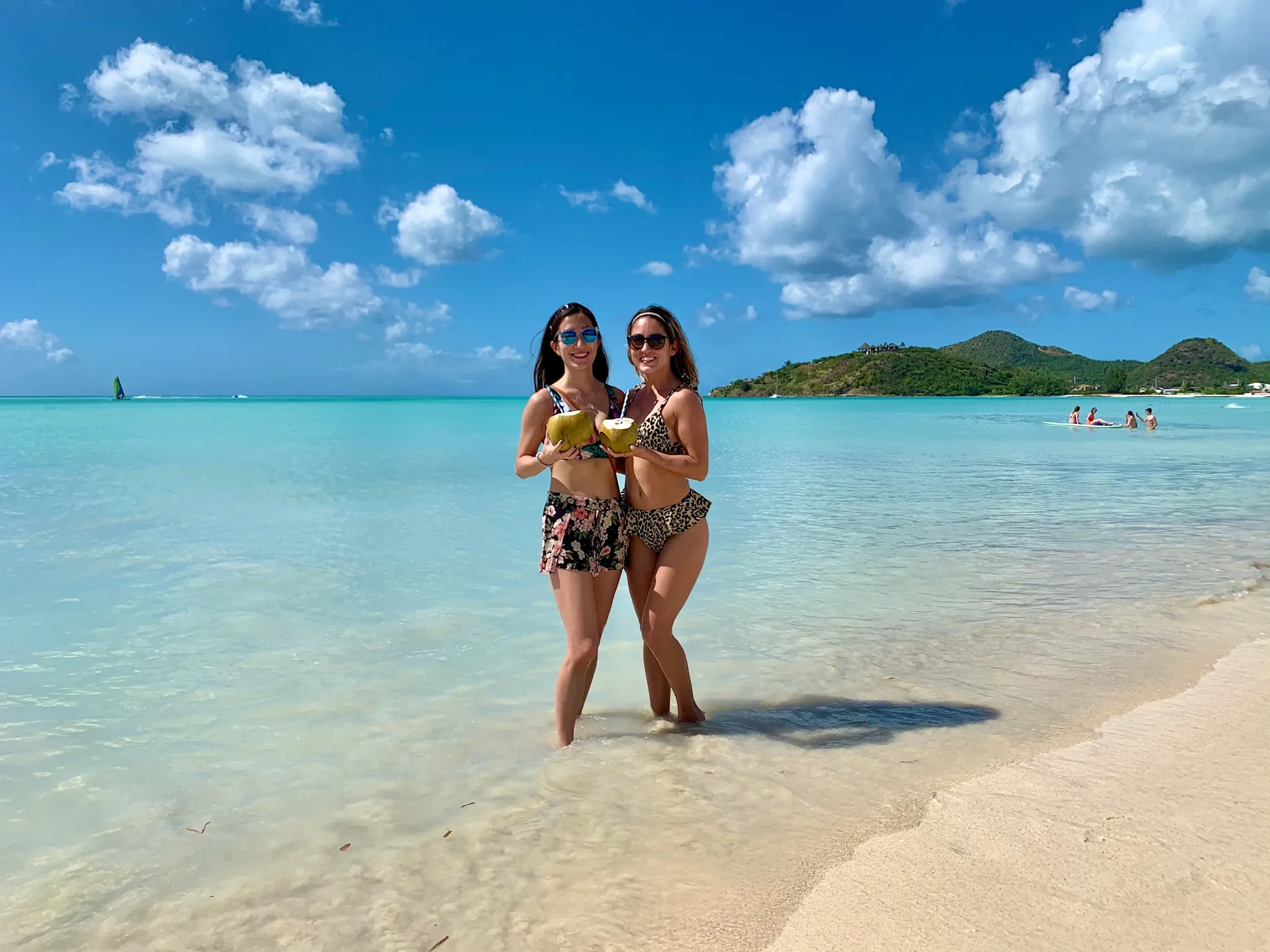 antigua and barbuda companions